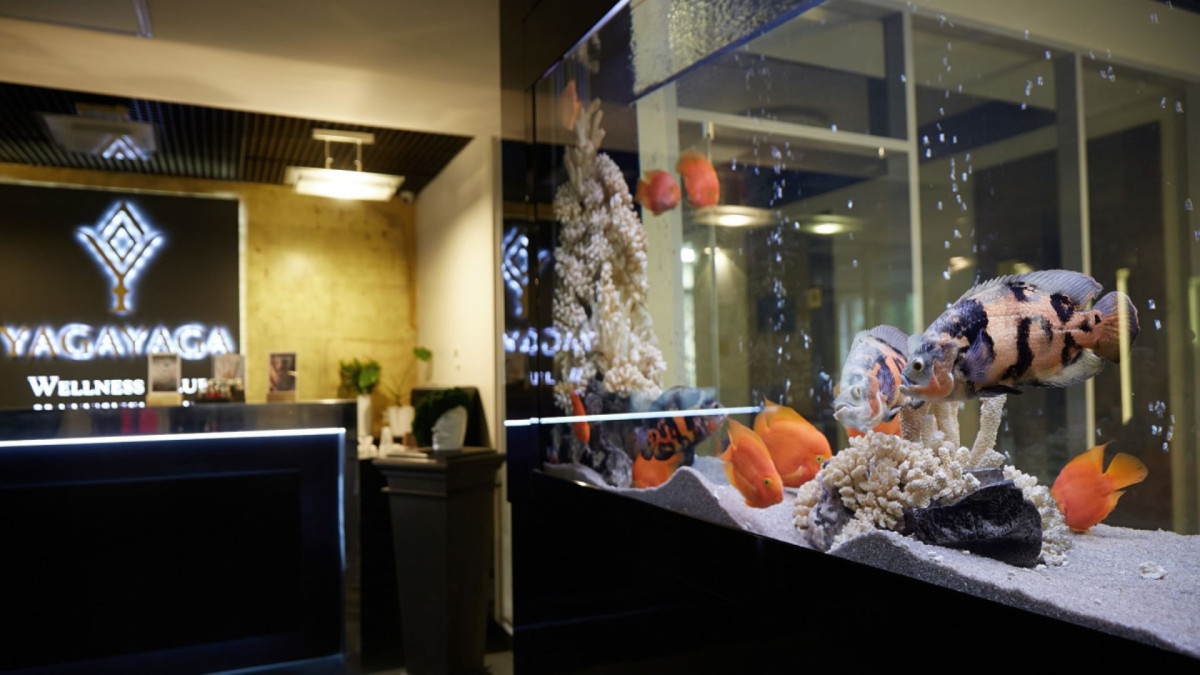 Фото " YagaYaga Wellness Club"