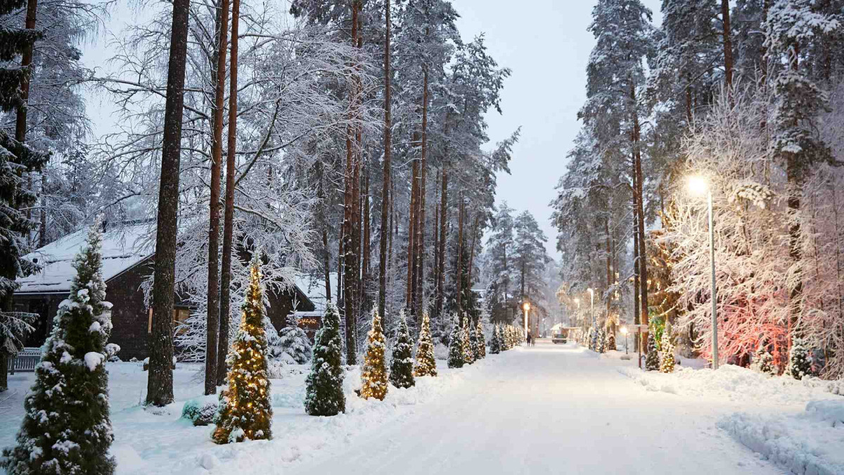 Фото "Мероприятие в атмосфере зимней сказки"